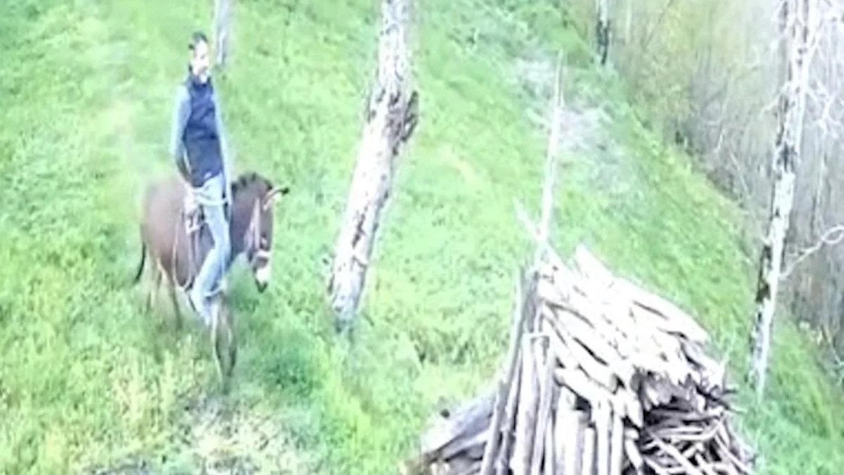 Ordu'da huysuzlanan eşek sahibini yere attı