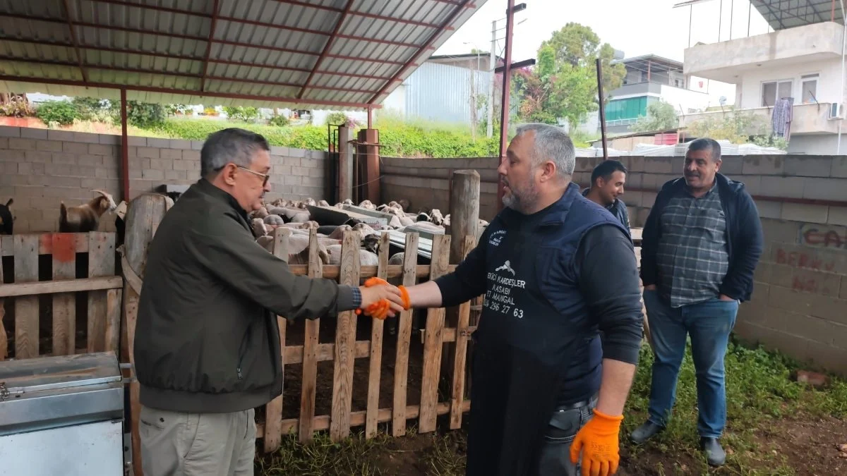 Mersin'de kurban pazarlıkları başladı