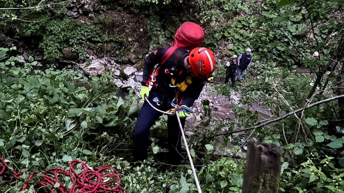 Sakarya'da fındık bahçesinde feci son: Uçuruma yuvarlanan yaşlı adam, hayatını kaybetti
