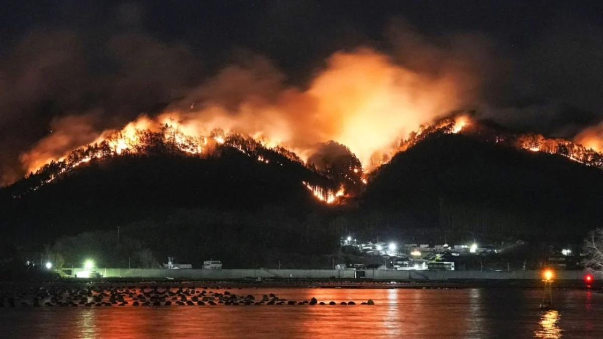 Japonya’da orman yangınları 11 gün sonra kontrol altına alındı