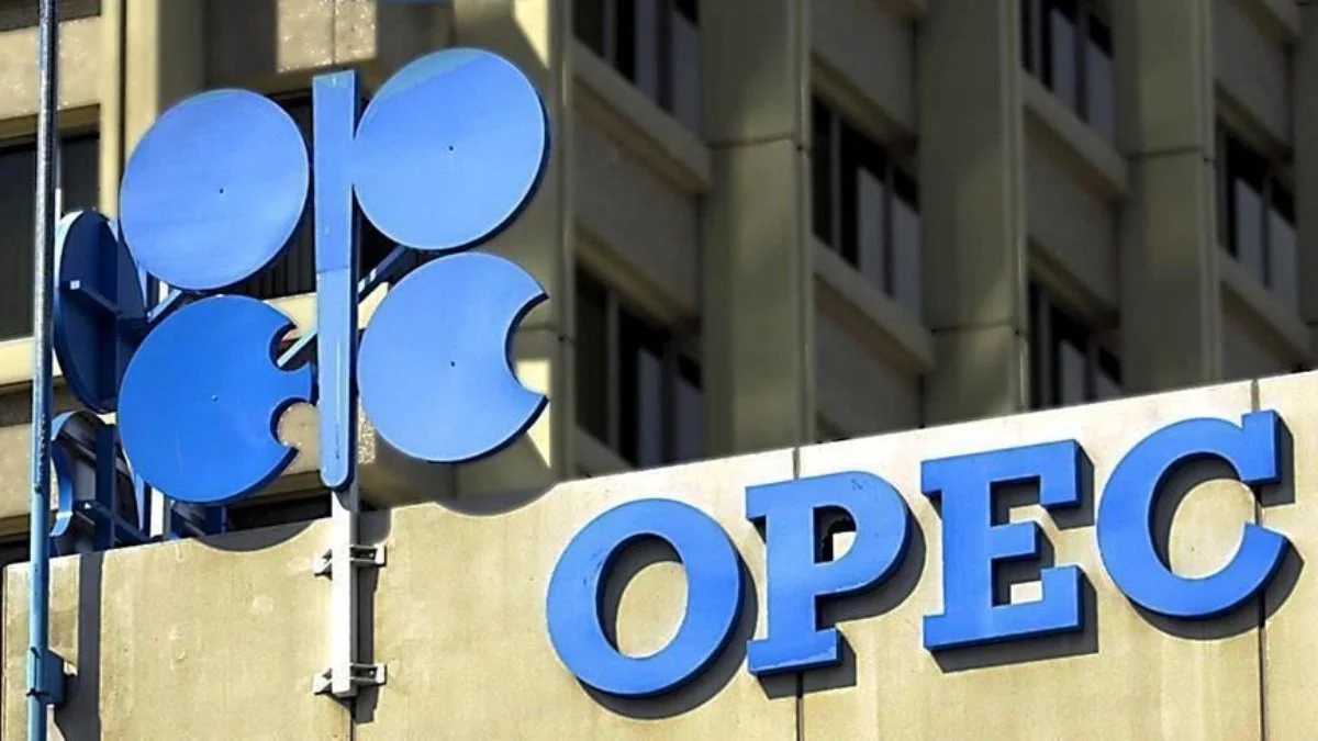 BAE'den OPEC'ten ayrılma kararı