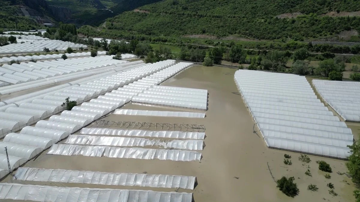 Amasya'da Yeşilırmak taştı: Yüzlerce hektarlık tarım arazisi sular aldında